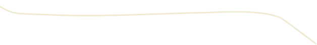 Vector 3
